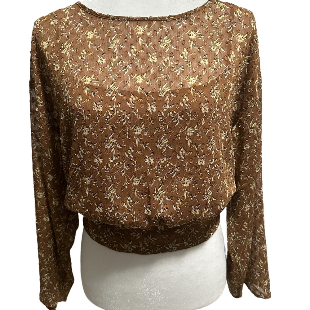 𝅺Ann Taylor Long-sleeved Sheer Blouse With Open Back